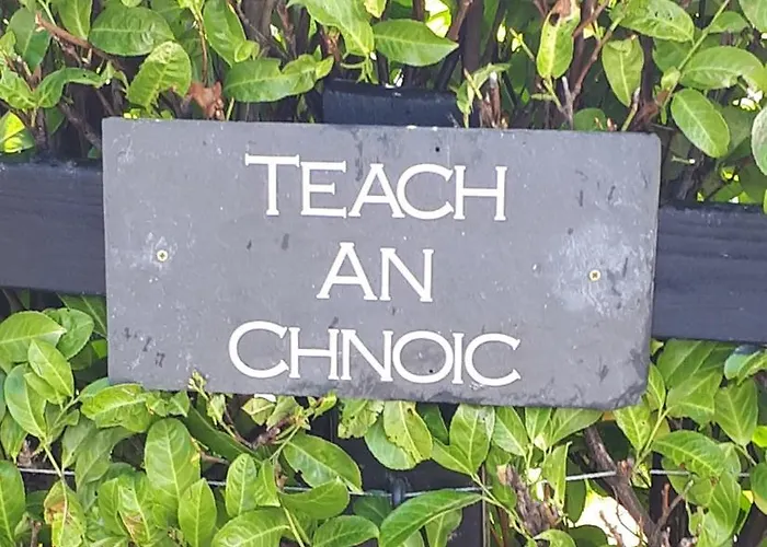 Lejlighed The Corner